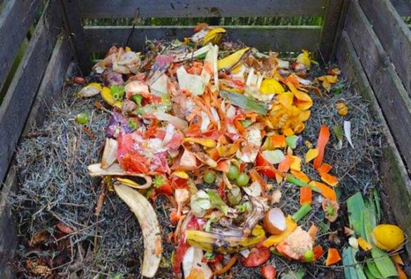 Was darf nicht auf den Kompost? gartenfreunderatgeber.de