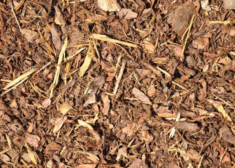 Hochbeet befüllen mit Rindenmulch gartenfreunderatgeber.de