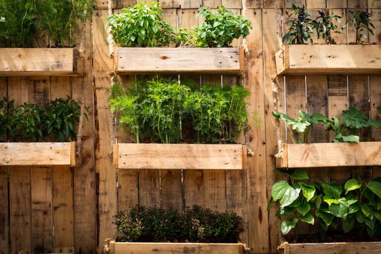 Vertikales Gärtnern gartenfreunderatgeber.de