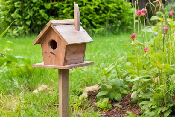 Vogelhaus für Balkongeländer gartenfreunderatgeber.de