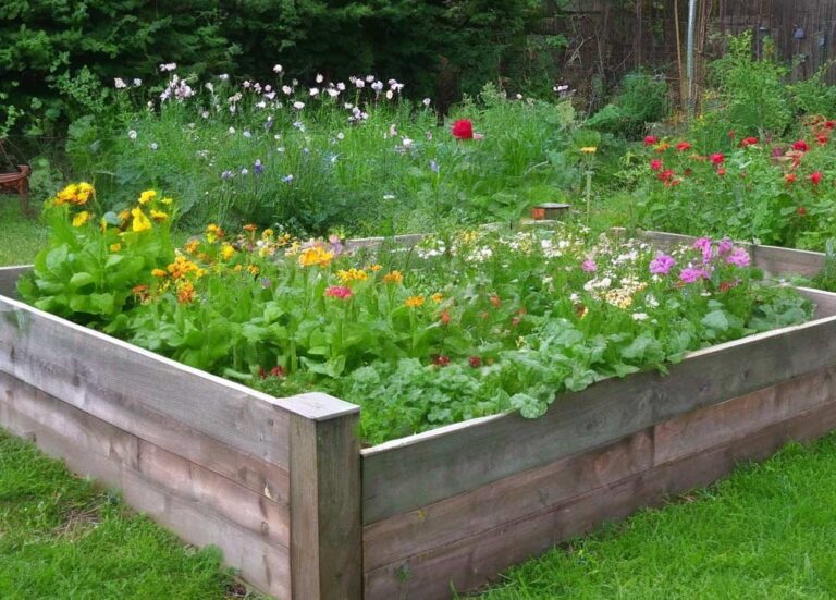 Hochbeet für Blumen gartenfreunderatgeber.de