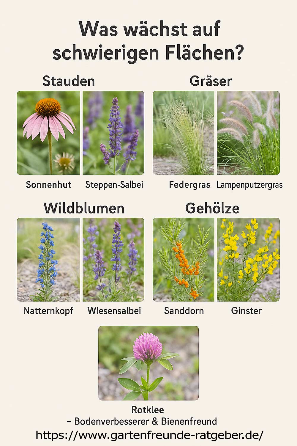 Pflanzen für sandige Böden