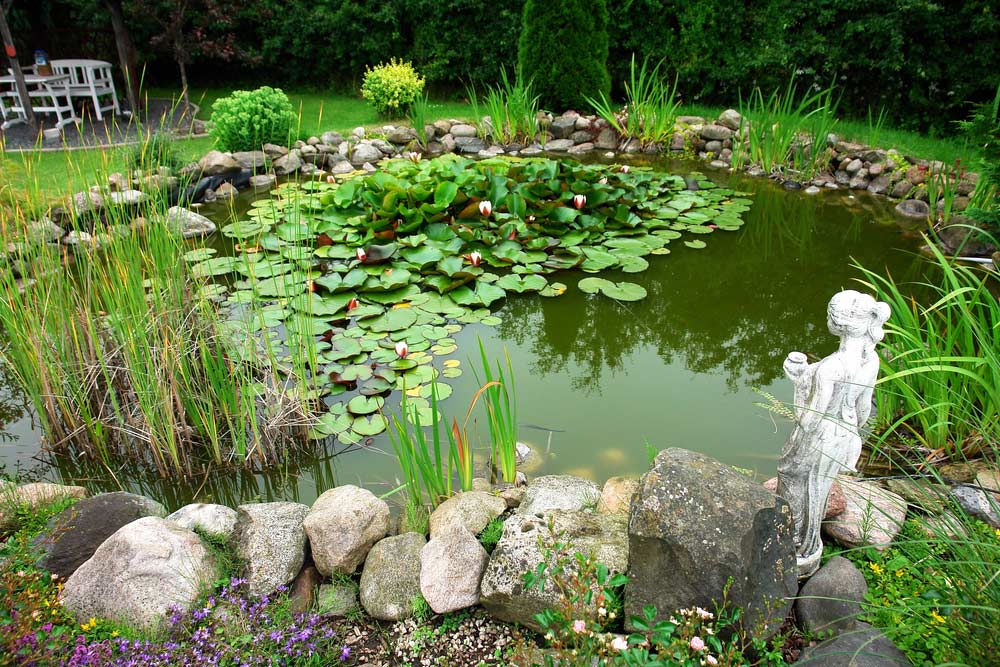 Naturgarten mit Teich (depositphotos)