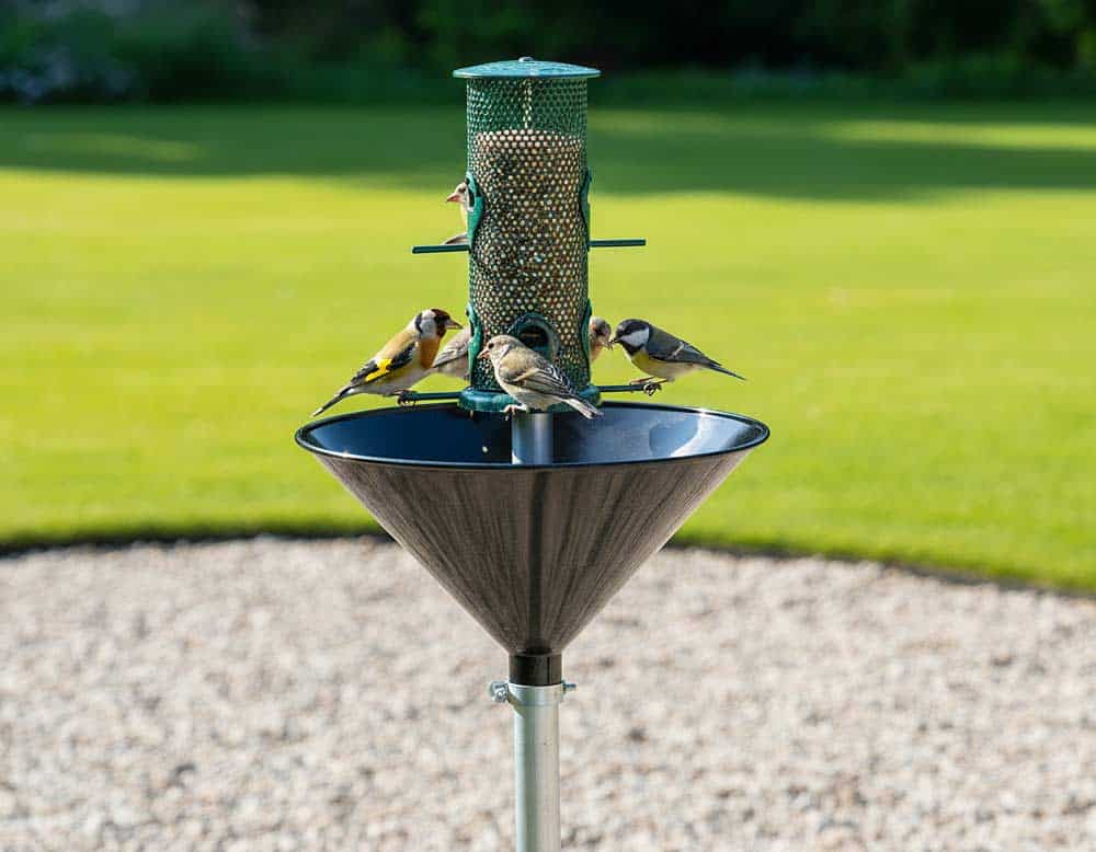 Vogelhaus mäusesicher machen und Futterreste vermeiden
