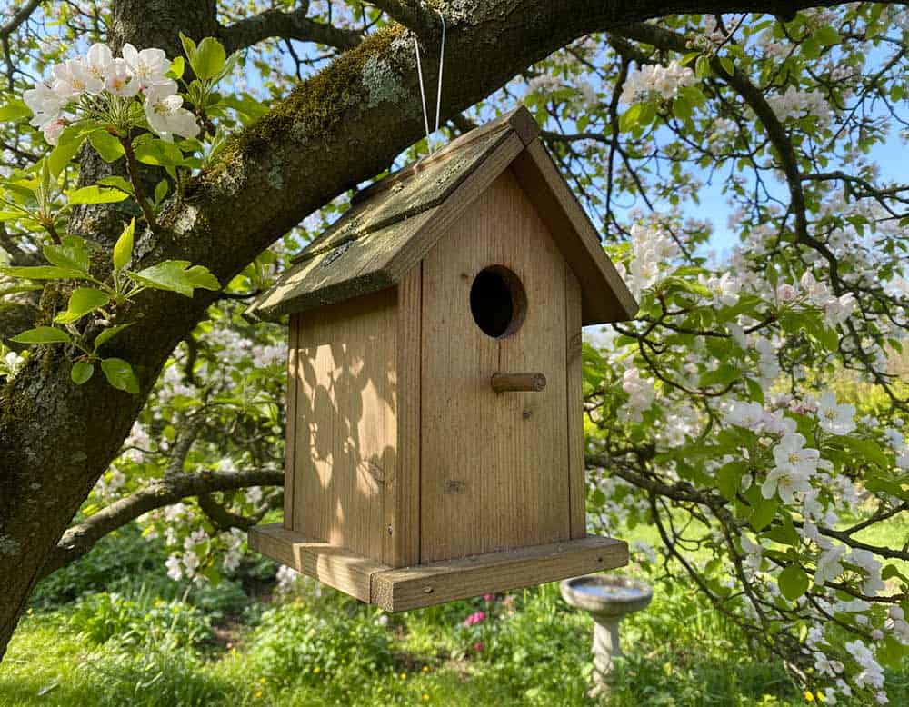 Nistkästen im Frühjahr Nistkästen im Frühjahr